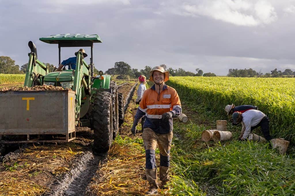 Team of farmers harvesting crops with tractor in lush green fields | Agriculture and farming experts at Templeton Enterprises.