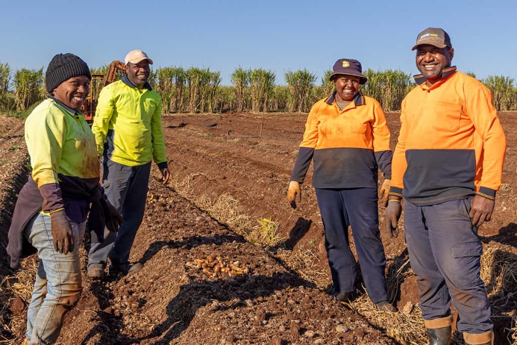 Farmers planting potatoes on a large farm at Templeton Farming Enterprises in Australia.